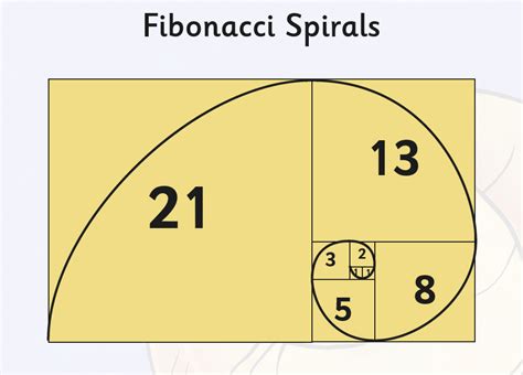 Are All Spirals Fibonacci? Exploring Natures Mathematical Patterns - Vườn Bưởi Tư Trung