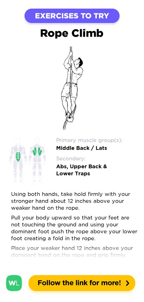 Rope Climb – WorkoutLabs Exercise Guide