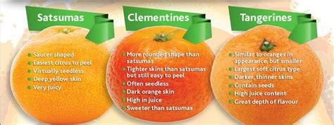 Difference between clementine and mandarin - filnflex