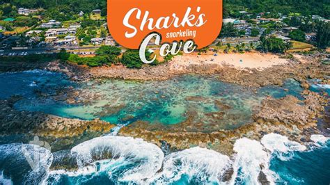 Sharks Cove Self-Guided Snorkel - From $38 - Waikiki Adventures