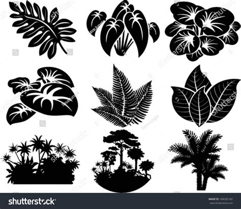 Vector Set Jungle Icons Tropical Trees Stock Vector (Royalty Free) 168285182 | Shutterstock