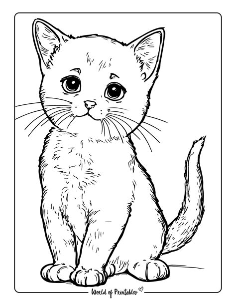 Cat Coloring Pages Free Printables