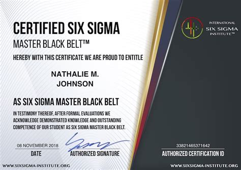 Lean Six Sigma Master Black Belt Training Online - Belt Poster