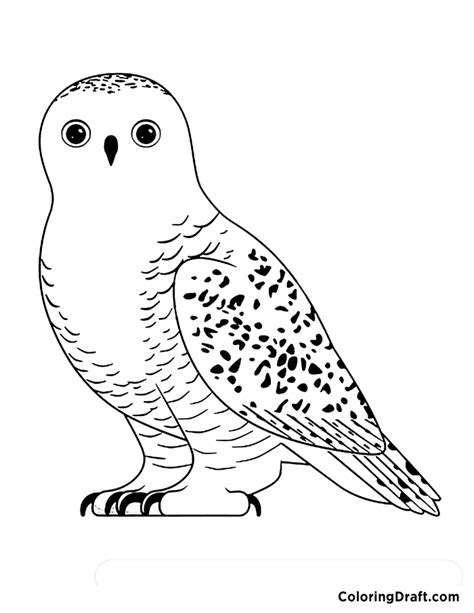 Snowy Owl Coloring Pages - ColoringDraft.com