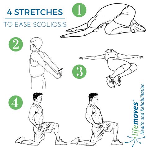 Top Scoliosis Stretches and Exercises to Maintain Mobility | Lifemoves