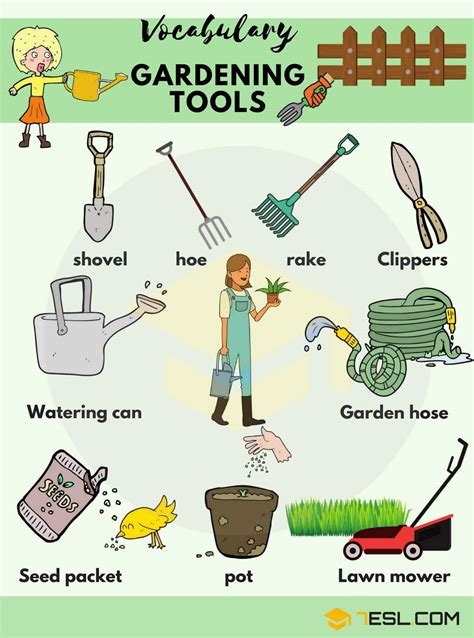 Gardening Tools: Names, List with Useful Pictures • 7ESL