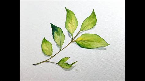 How to paint a simple leaf in Watercolors Level 1 (Easy) - YouTube