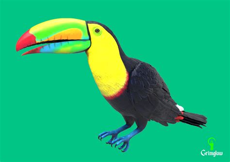 ArtStation - Keel-billed Toucan | Resources