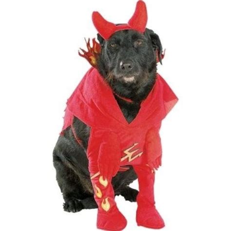 Big Dog Costumes On Parade | HubPages