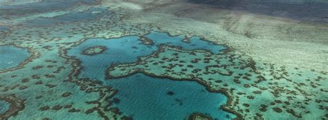 NOAA Coral Reef Conservation Program - Coral Heroes: The National Fish and Wildlife Foundation