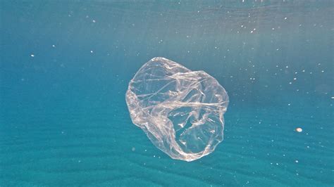 Ocean pollution - taking plastic bag from the sea 30012321 Stock Video at Vecteezy