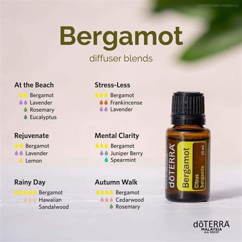 Bergamot diffuser blends – Artofit