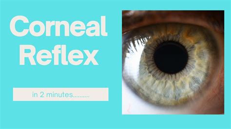 Corneal Reflex