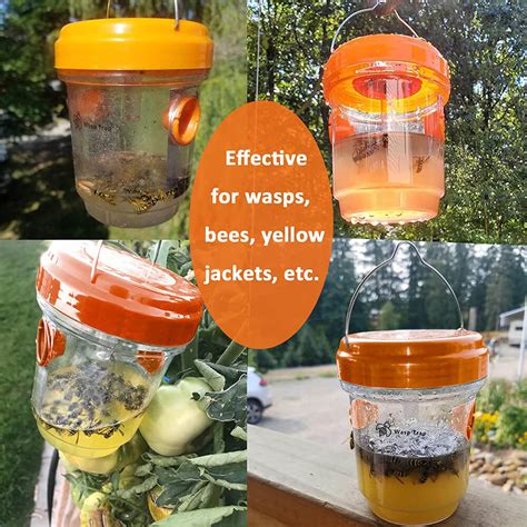 2 Pack Solar Wasp Traps – ToHitTheRoad