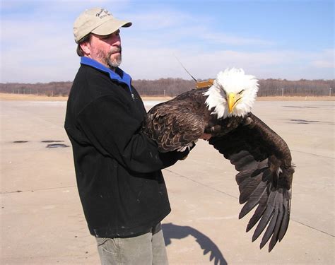 The Center for Conservation Biology Tracking bald eagle movements throughout the Chesapeake and ...