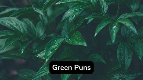 45 Funny Green Puns and Jokes You Should Not Miss! - eAstroHelp