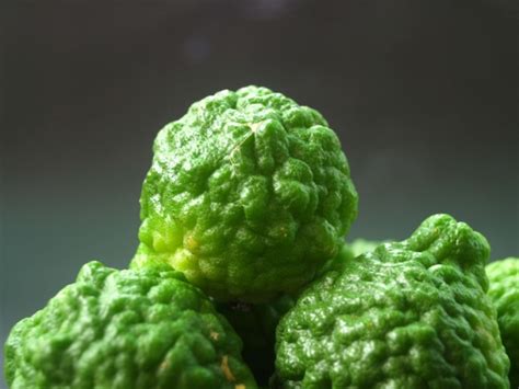 Bergamot Fruit Free Stock Photo - Public Domain Pictures