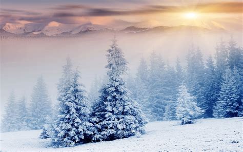 Snow Landscape Background wallpaper | 2880x1800 | #27379