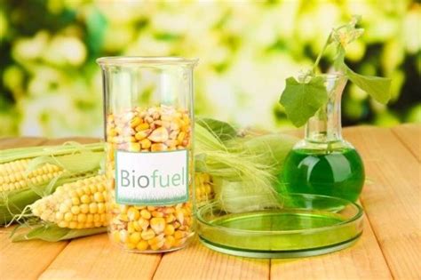 Biofuel: Types, Uses & Examples – StudiousGuy