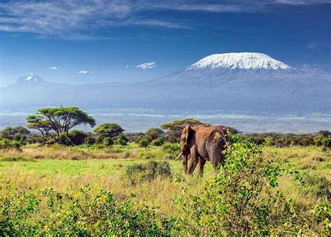 Visit Mount Kilimanjaro on a trip to Tanzania | Audley Travel US