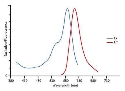 Alexa Fluor 594® Secondary Antibodies - Jackson Immuno