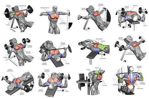 5 Tips For the Best Chest Workout ~ multiple fitness