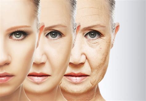 Causes Of Our Aging Skin - Anti Aging Story