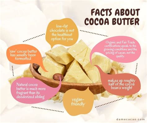 What Is Cocoa Butter? (+Expert Tips on How to Use It!)