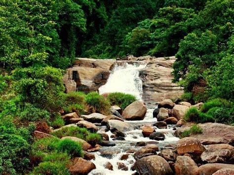 Chinnakallar Falls, Valparai - Timings, Swimming, Entry Fee, Best ...