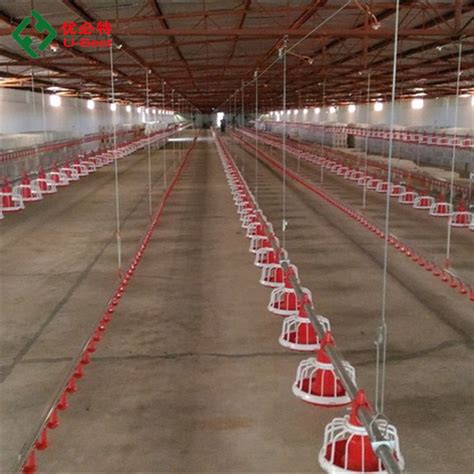 Automatic Poultry Broiler House Equipment for Chicken Farm - China Automated Poultry Farm ...