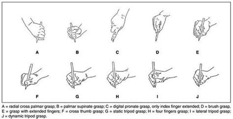 Pencil Grasp Development Pencil Grasp Development, Fine Motor Skills Development, Physical ...