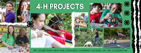 4-H Projects | Robertson County