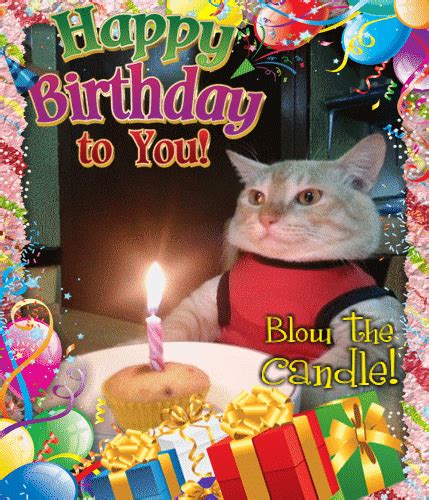 Funny Birthday Cat Blows The Candle. Free Funny Birthday Wishes eCards ...