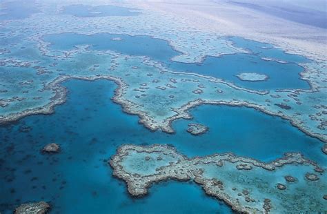 Free Images : sea, lagoon, aerial view, coral reef, australia, archipelago, habitat, queensland ...