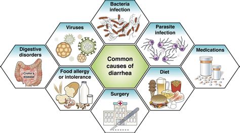 Diarrhea - AGA GI Patient Center