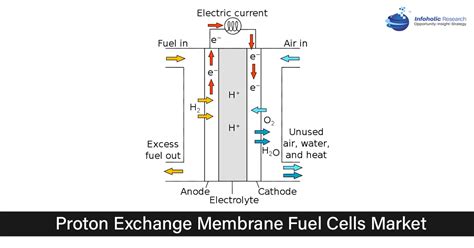 Proton Exchange Membrane Fuel Cells Market | Global Forecast up to 2027