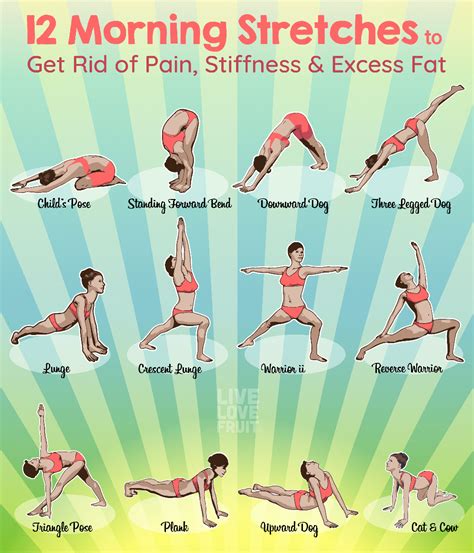 Pin by Tamara Pomponio on Fitness | Morning yoga stretches, Morning stretches, Easy yoga workouts