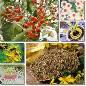 9 Surprising Anti-Anxiety Herbal Remedies - NatureWord