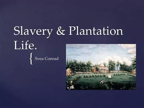 PPT - Slavery & Plantation Life. PowerPoint Presentation, free download - ID:2070969