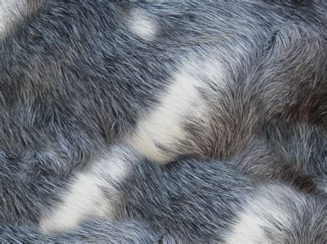 Animal Fur Texture Free Download (Fabric) | Textures for Photoshop