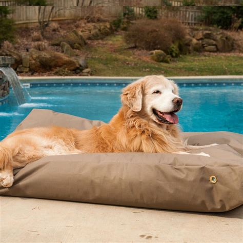 20 Best Waterproof Dog Beds (Reviews Updated 2024) | Dog Product Picker