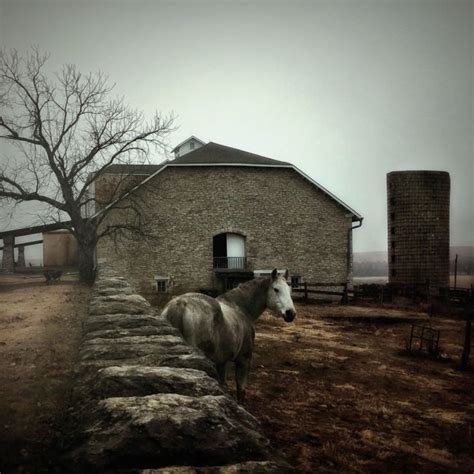 8 Tips For Incredible Rural Landscape Photography On iPhone