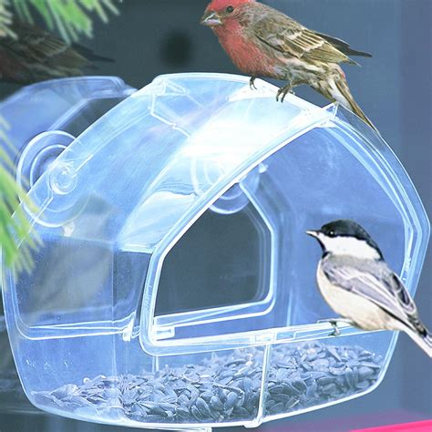 Best Window Bird Feeders PNG