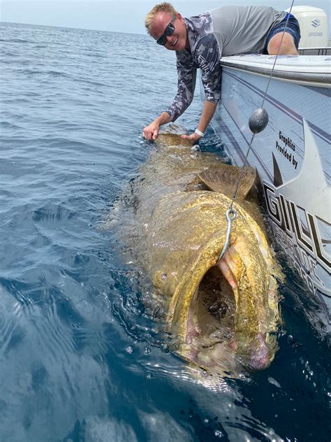 Massive grouper reeled in off Florida; ‘We caught a monster’