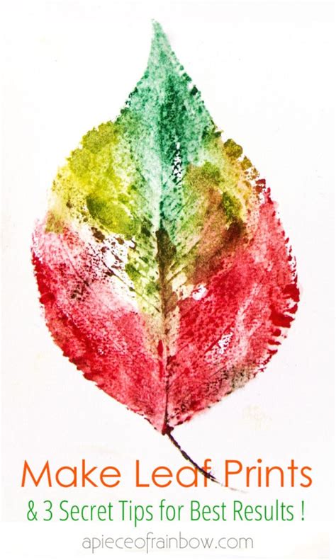 5 Minute Beautiful Leaf Prints Art (& 3 Secret Tips) - A Piece Of Rainbow