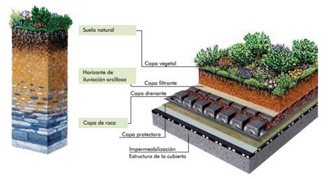 Manuales o guías sobre cubiertas vegetales. Ventajas y desventajas