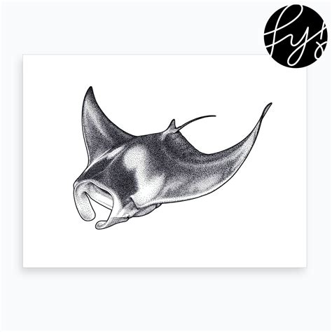 Giant Manta Ray Art Print | Manta ray art, Manta ray tattoos, Manta ray