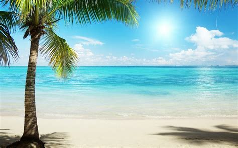 Tropical Backgrounds For Computer - Wallpaper Cave