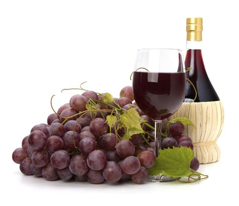 Compound found in grapes, red wine may help prevent memory loss - Vital ...