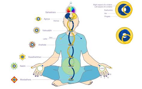 Kriya Yoga Explained - Infoupdate.org